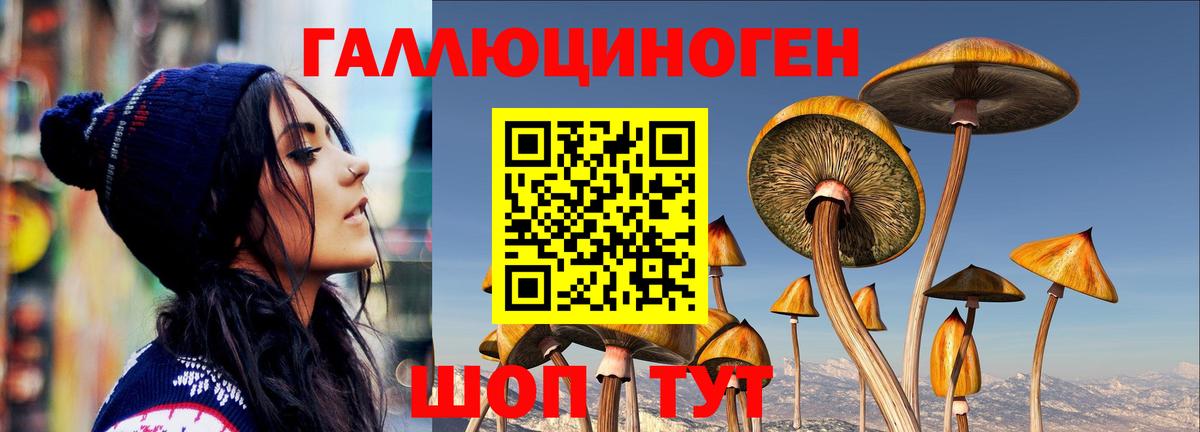 Галлюциногенные грибы прущие грибы Новочеркасск